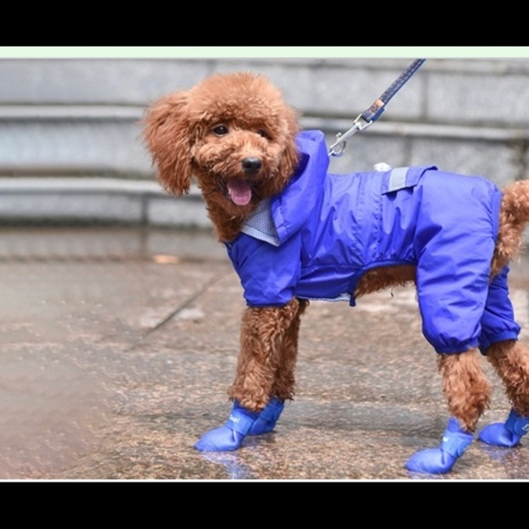 Pet 🐾 Rain ⛈ Boots🎿 - Picture 1 of 9